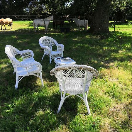 La Marquise Penchee Panzió Orsennes Kültér fotó